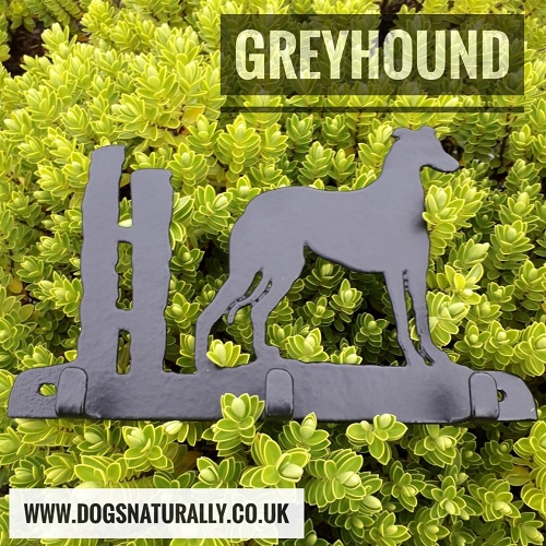GreyhoundLead/Key Rack